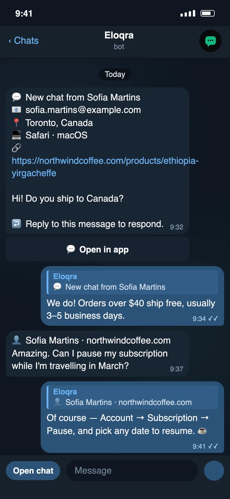A visitor's chat arriving in Telegram, with the operator's replies