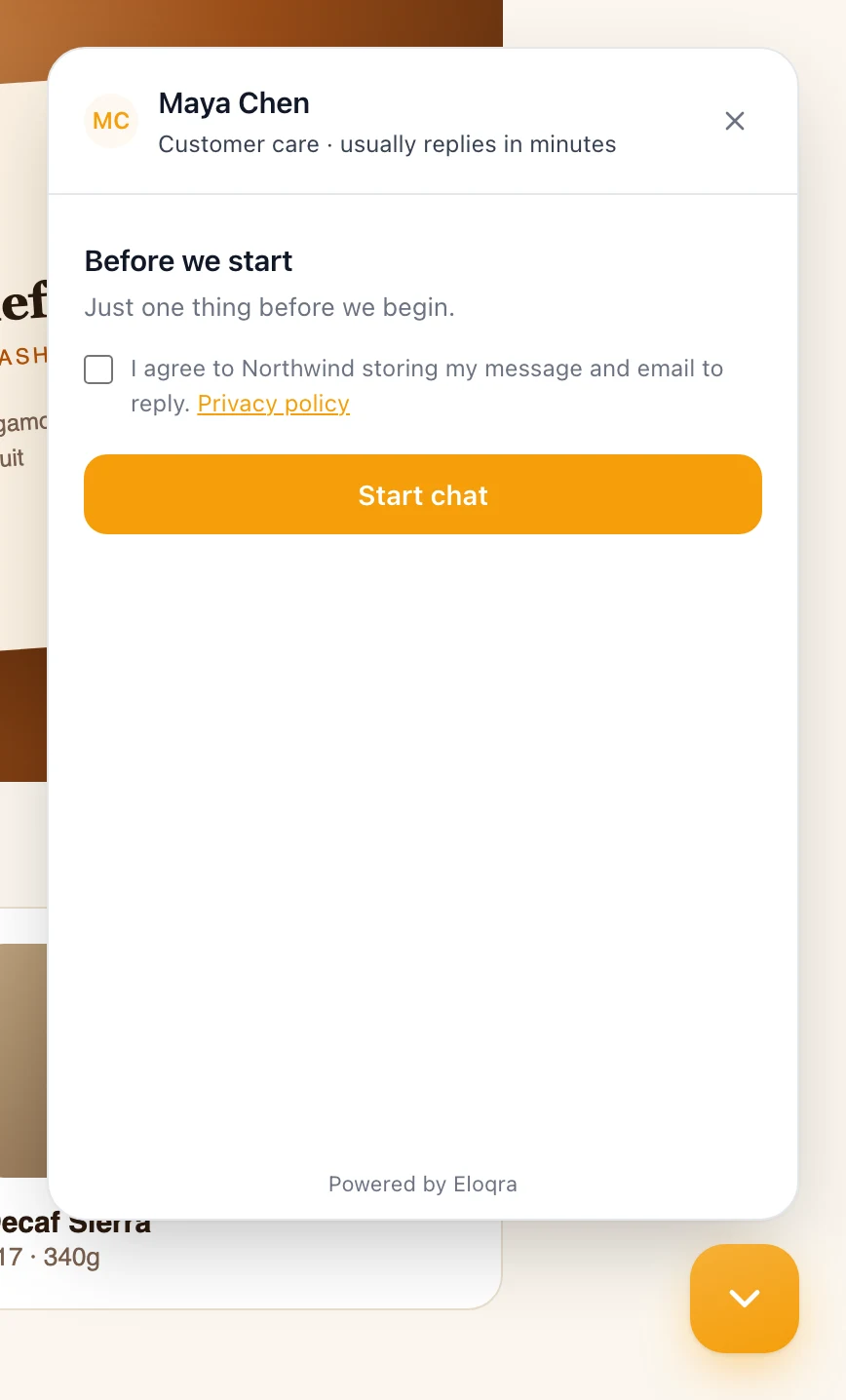 The widget asking the visitor to agree before the chat starts, with a privacy policy link