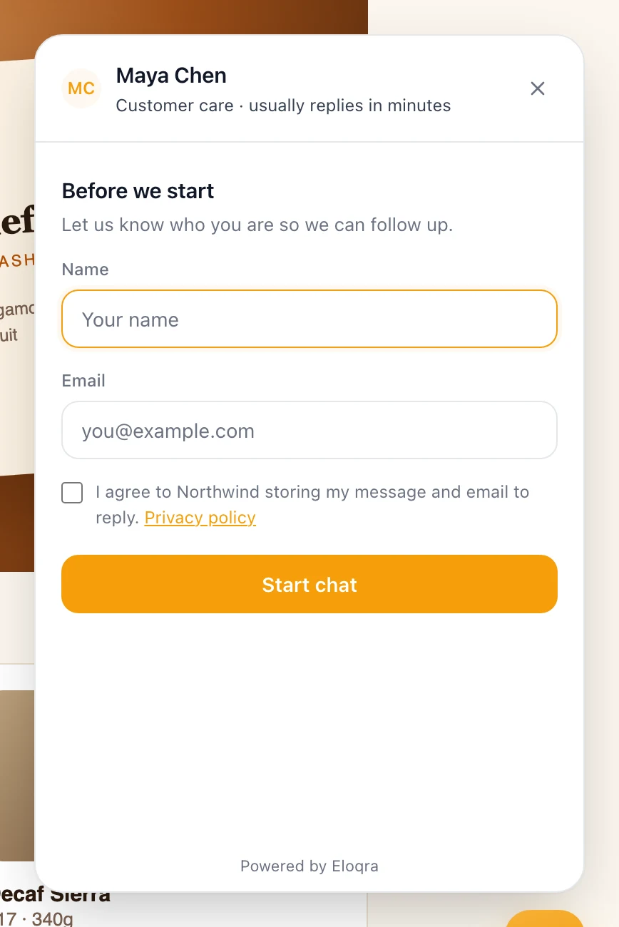 The widget's pre-chat form asking for name and email
